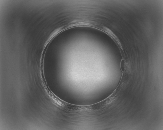 X0000056361002200508291339
