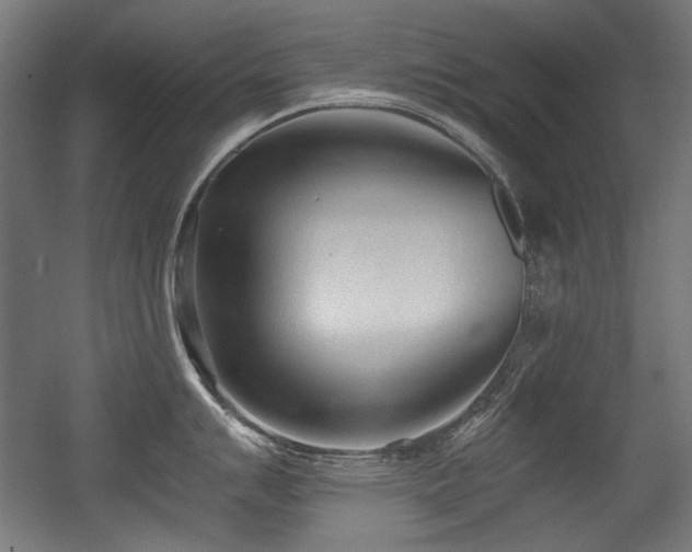 X0000056361007200508291339