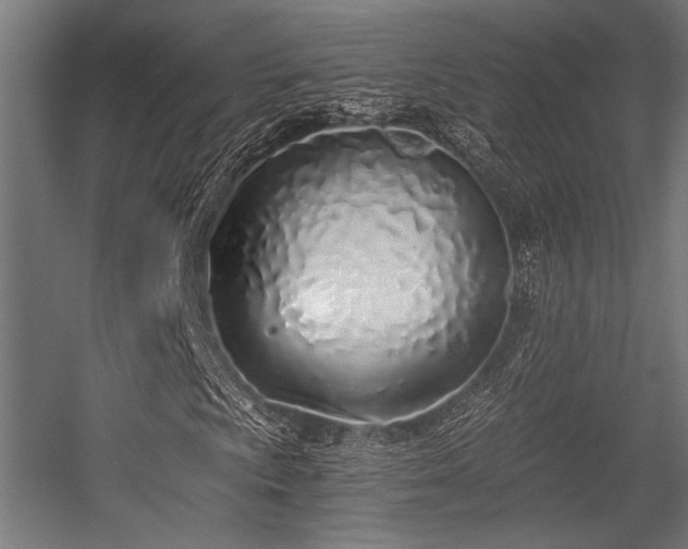 X0000056361009200508291338