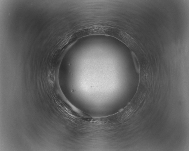 X0000056361010200508291338