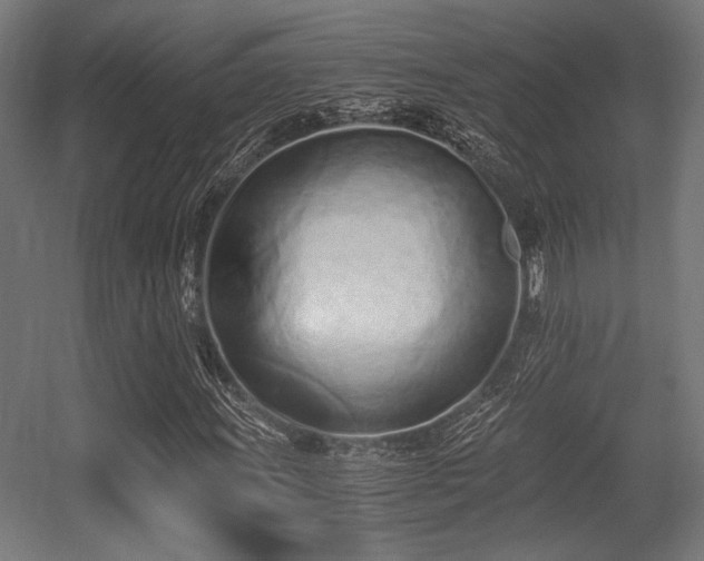 X0000056361011200508291338