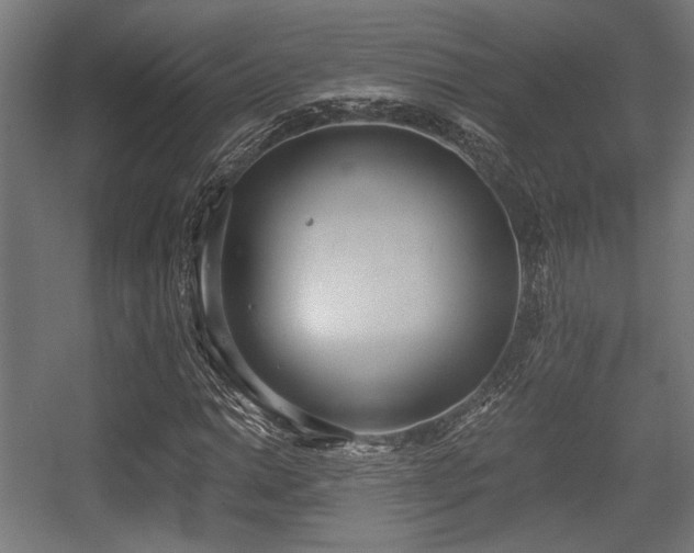 X0000056361014200508291339