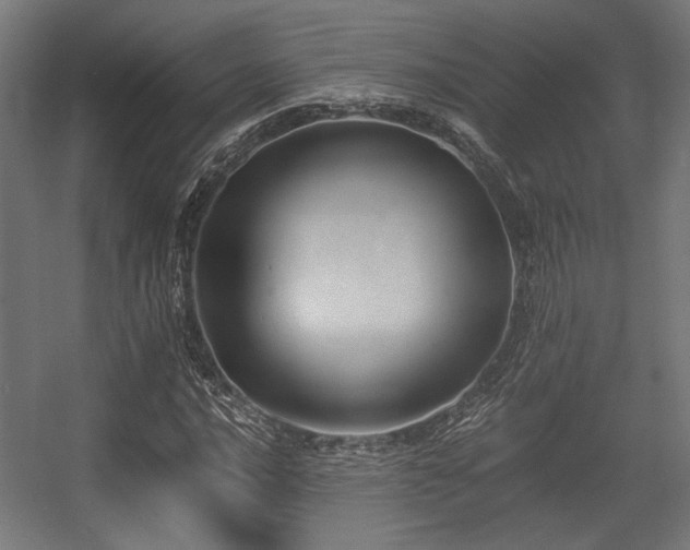 X0000056361016200508291339