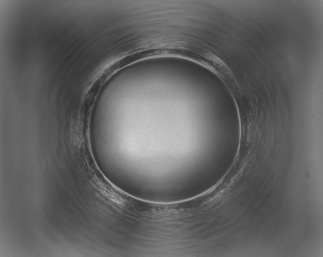 X0000056361019200508291339