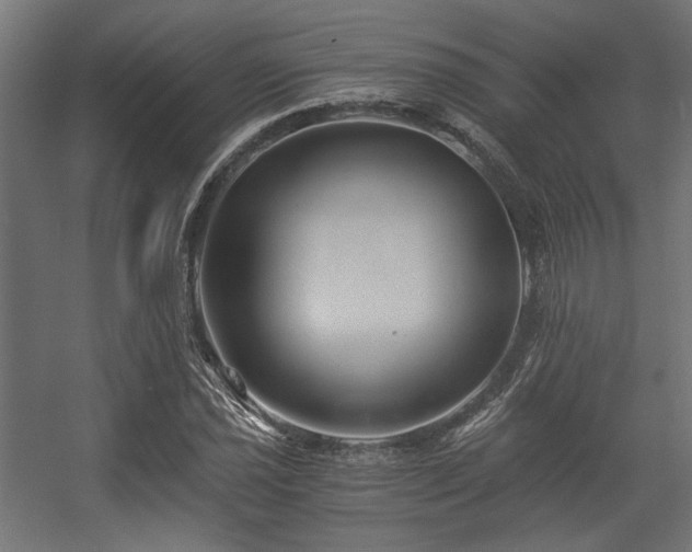 X0000056361021200508291339