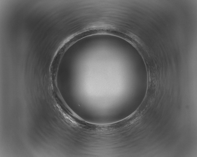 X0000056361022200508291339