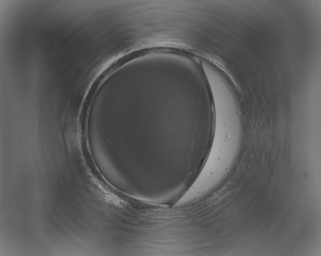 X0000056361024200508291339