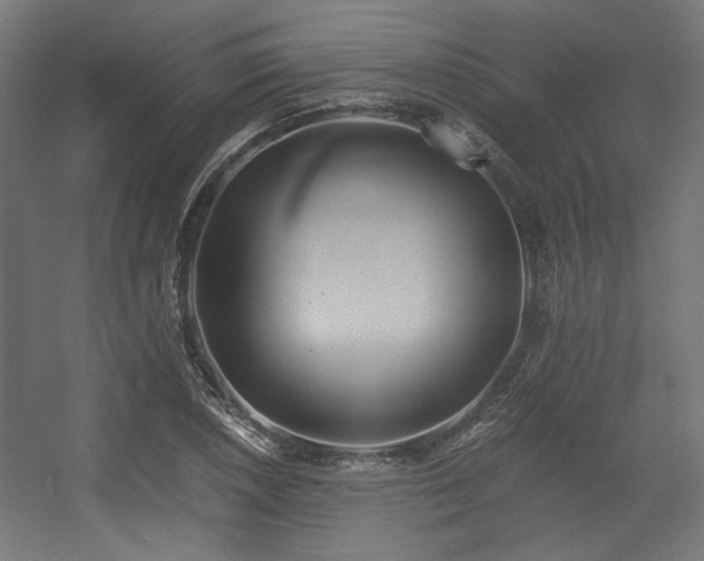 X0000056361026200508291339