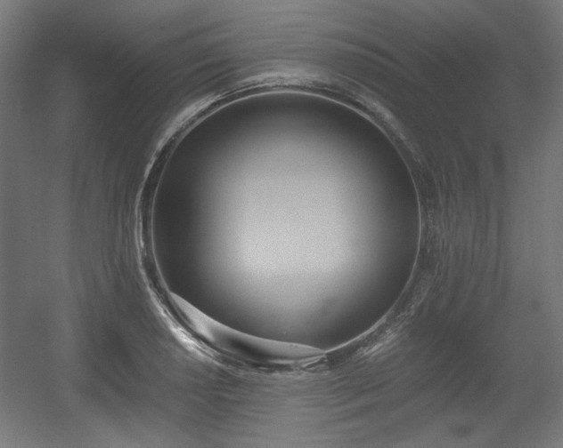 X0000056361034200508291339