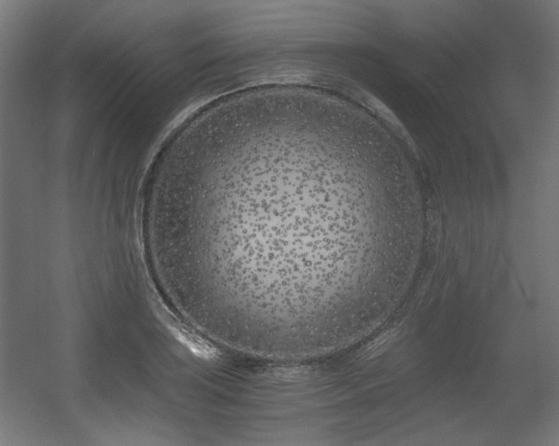 X0000056361035200508291339