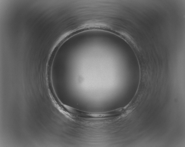 X0000056361038200508291339