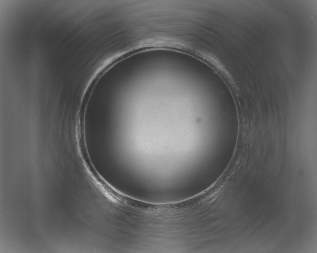 X0000056361040200508291339