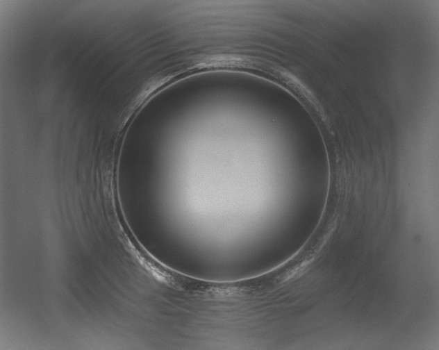X0000056361041200508291339