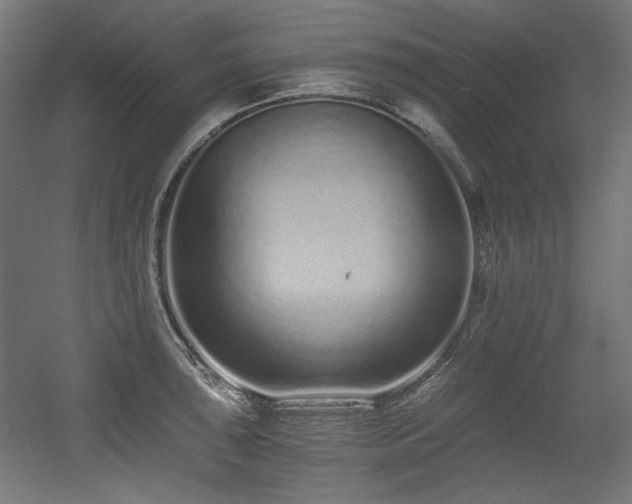 X0000056361043200508291339