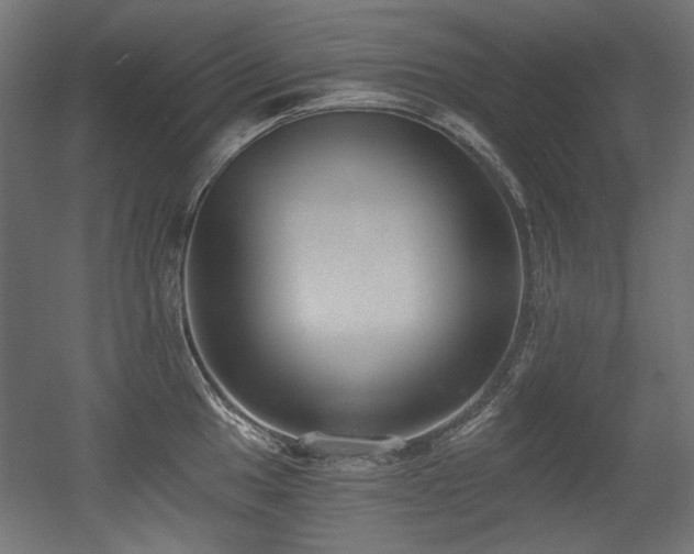 X0000056361049200508291339