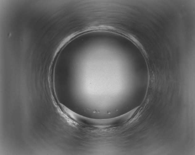 X0000056361054200508291339