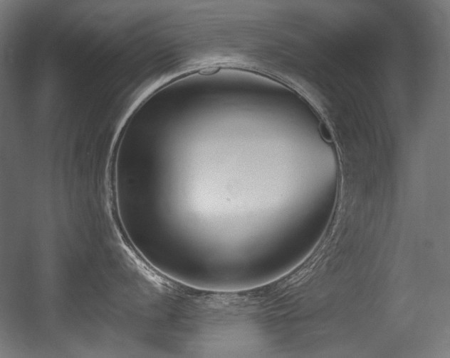 X0000056361056200508291339
