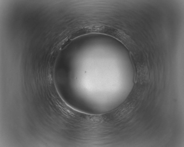 X0000056361058200508291338