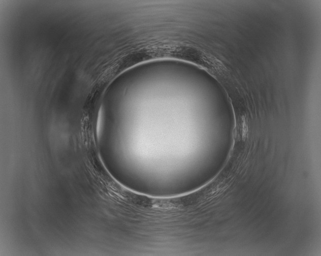 X0000056361059200508291338
