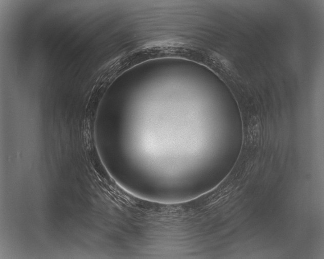 X0000056361062200508291338
