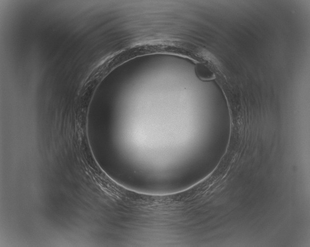 X0000056361064200508291338