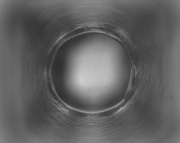 X0000056361065200508291338