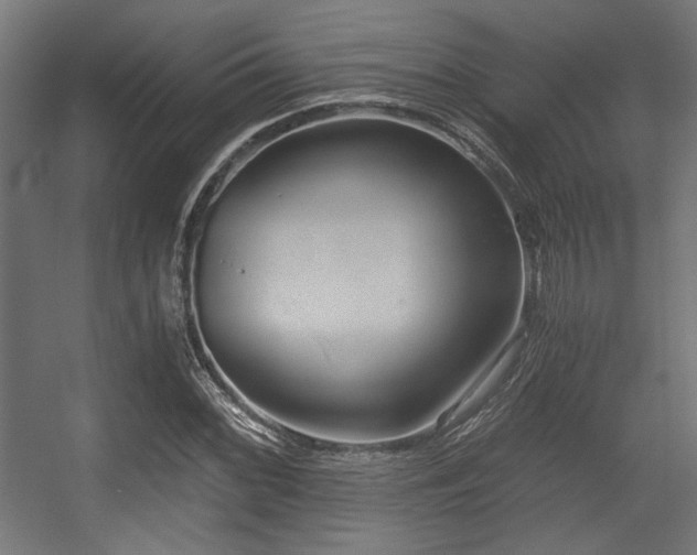 X0000056361068200508291338