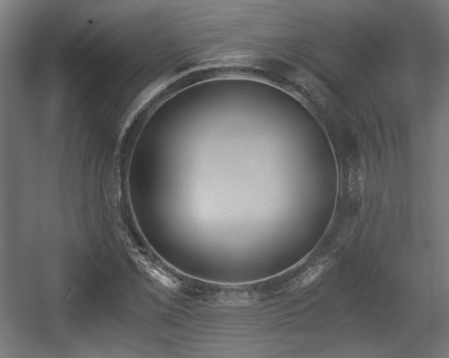 X0000056361069200508291338