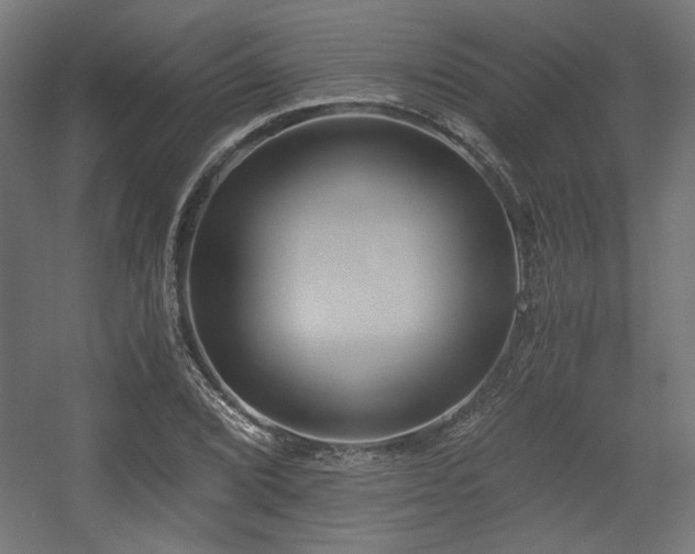 X0000056361072200508291338