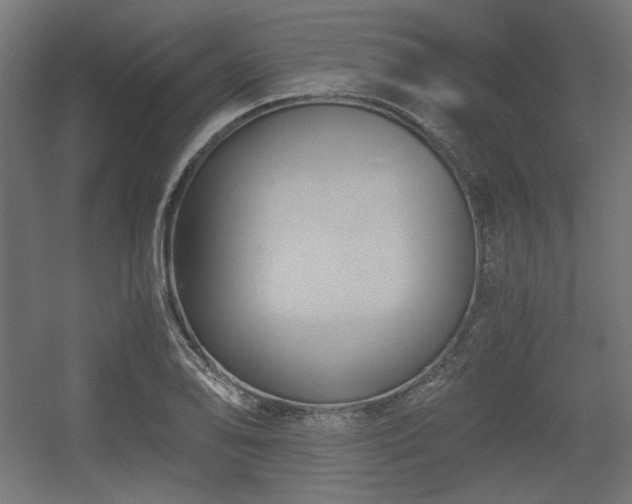 X0000056361078200508291338
