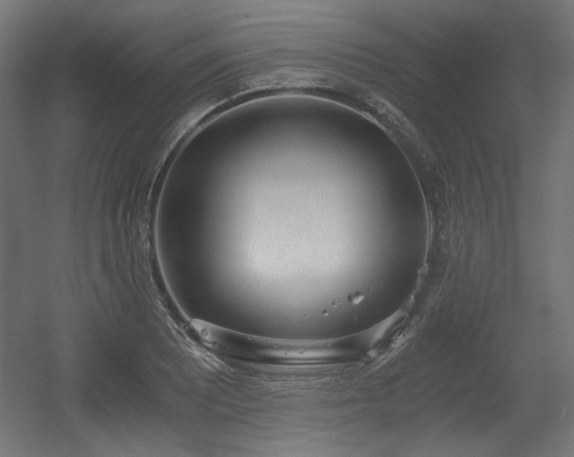 X0000056361081200508291338