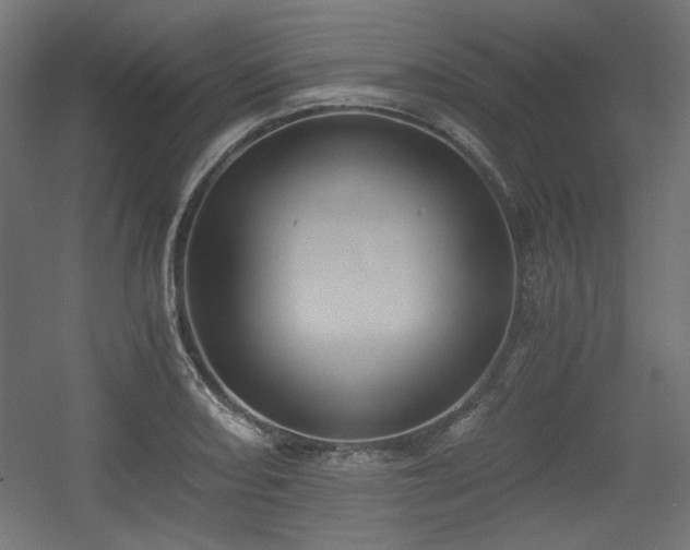 X0000056361082200508291338
