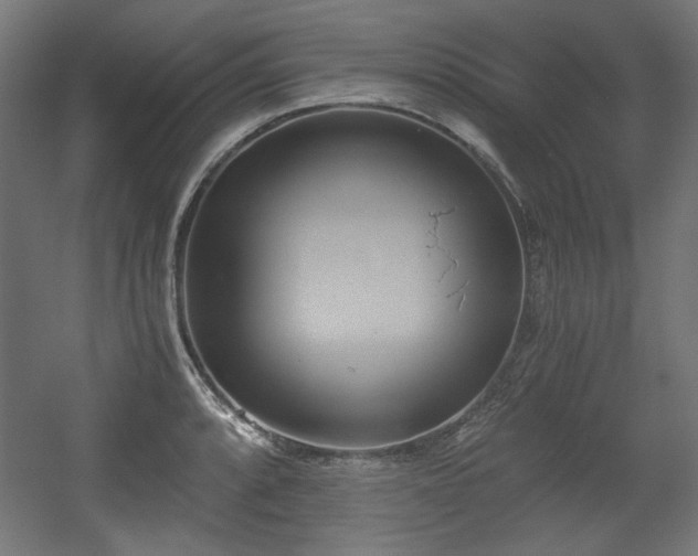 X0000056361088200508291338