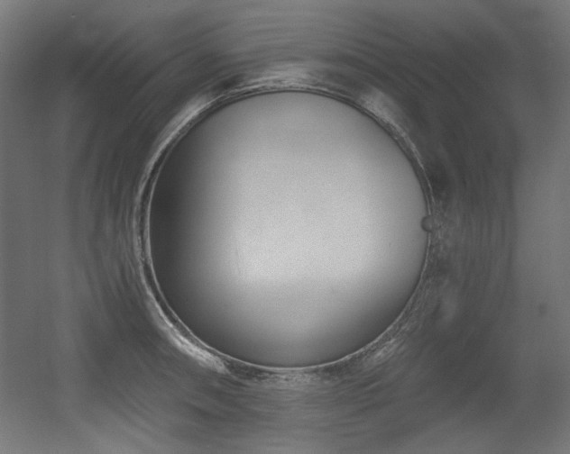 X0000056361090200508291338
