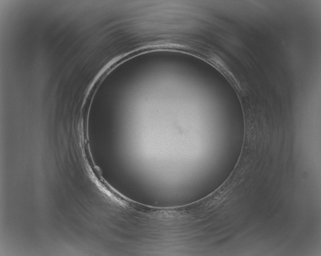 X0000056361092200508291338