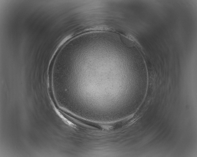 X0000056361095200508291338