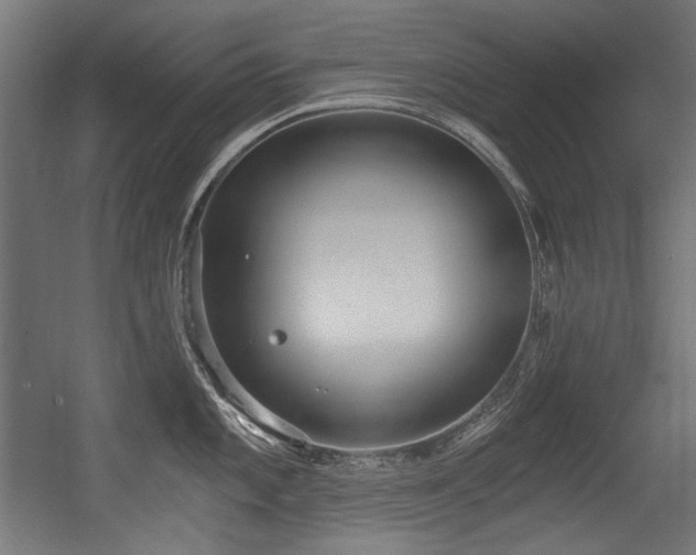 X0000056361101200508291338