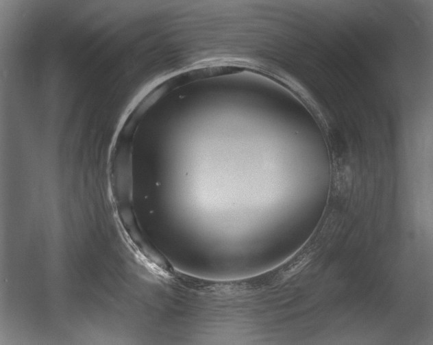 X0000056361102200508291338