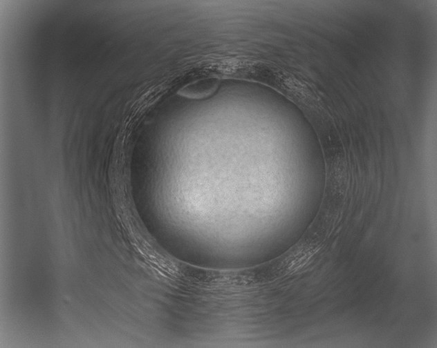 X0000056361105200508291337