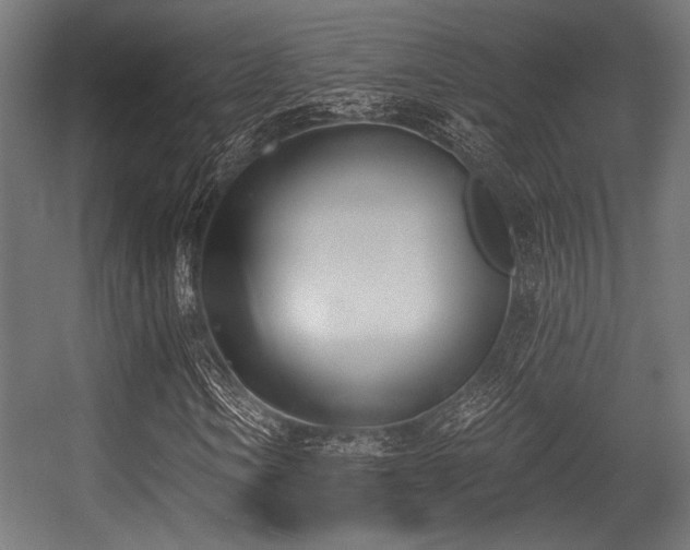 X0000056361106200508291337