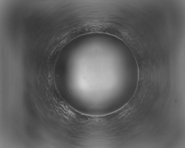 X0000056361109200508291337