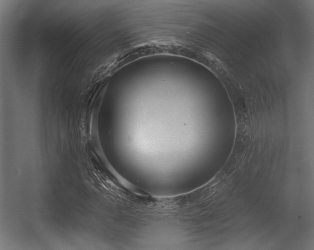 X0000056361110200508291337