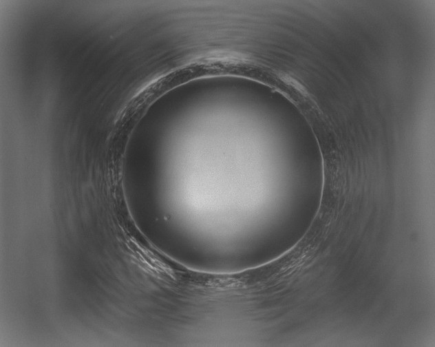 X0000056361112200508291337