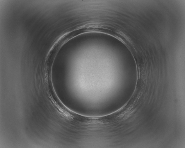 X0000056361115200508291337