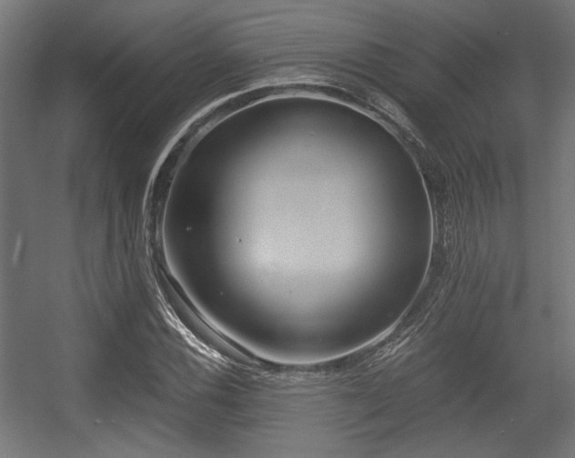 X0000056361116200508291337