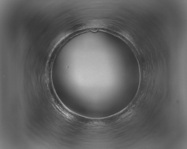 X0000056361119200508291337