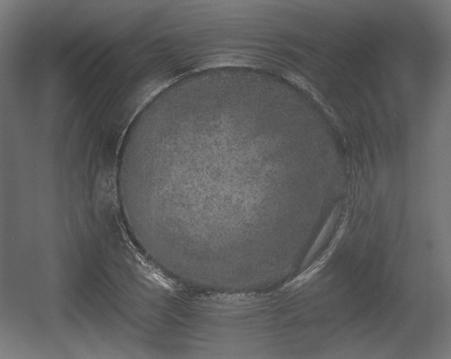 X0000056361121200508291337
