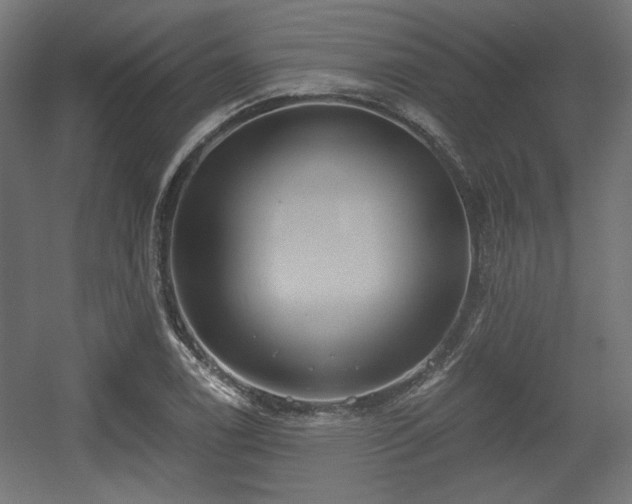 X0000056361122200508291337