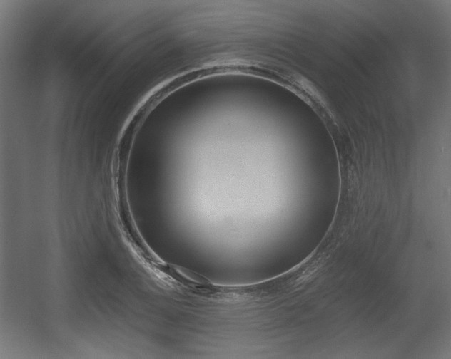 X0000056361124200508291337