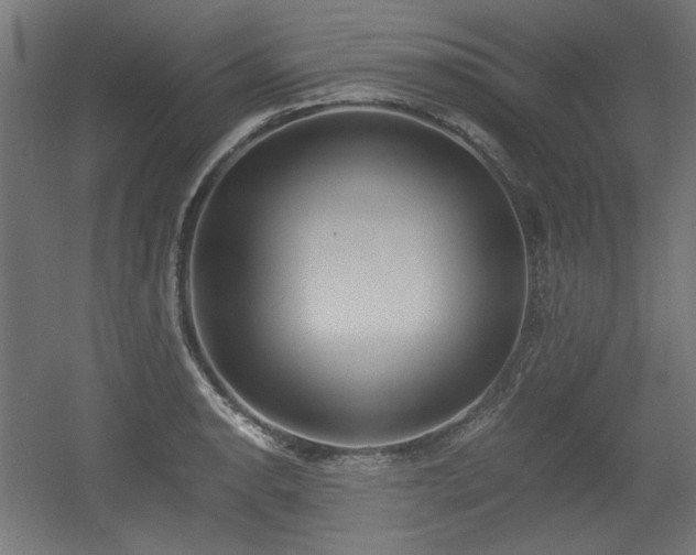 X0000056361134200508291337